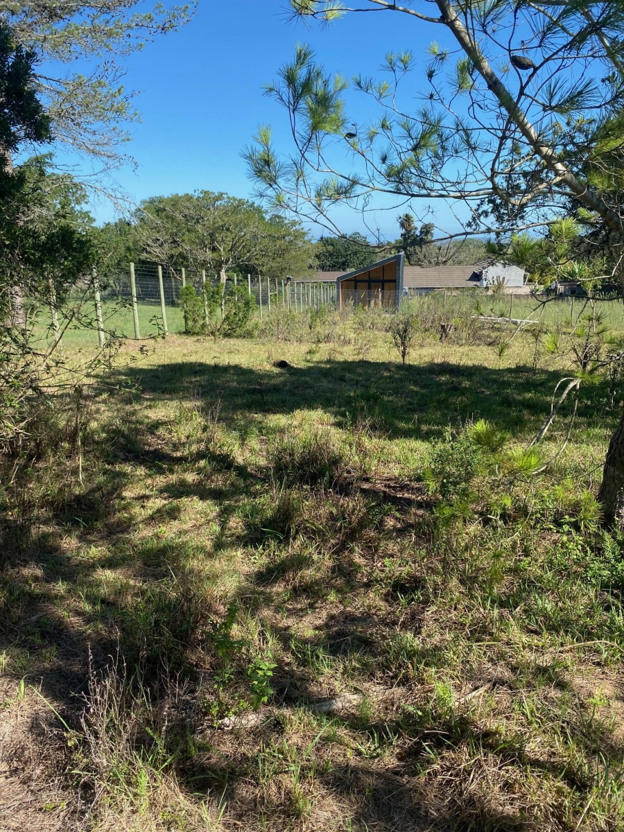 0 Bedroom Property for Sale in Bathurst Eastern Cape